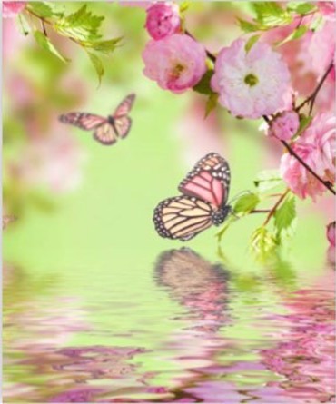 ΡΟΛΕΡ ΜΕ ΨΗΦΙΑΚΗ ΕΚΤΥΠΩΣΗ 'ΠΕΤΑΛΟΥΔΕΣ' E212