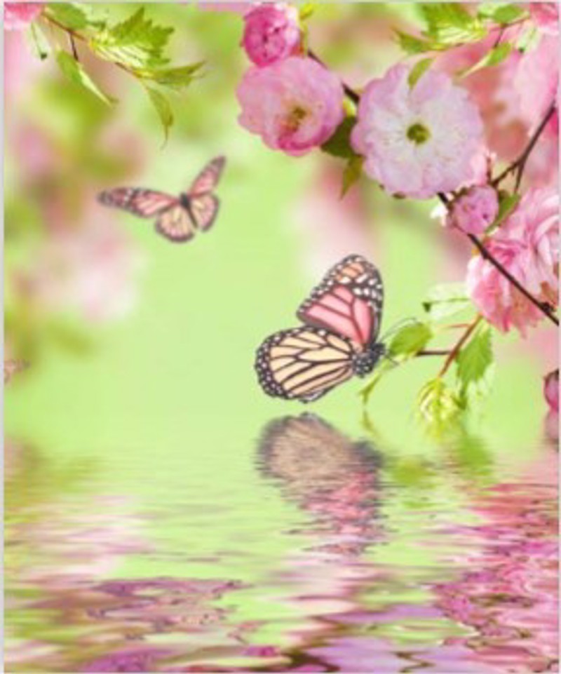 ΡΟΛΕΡ ΜΕ ΨΗΦΙΑΚΗ ΕΚΤΥΠΩΣΗ 'ΠΕΤΑΛΟΥΔΕΣ' E212