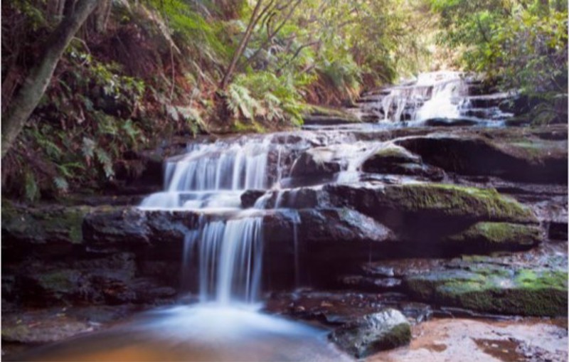 Anartisi - ΣΗΜΑΝΤΙΚΟ: Σε περίπτωση διαφοράς τιμής από το κατάστημα ισχύει παντα και μόνο η τιμή του καταστήματος ΡΟΛΕΡ ΜΕ ΨΗΦΙΑΚΗ ΕΚΤΥΠΩΣΗ 'ΡΥΑΚΙ ΣΤΟ ΔΑΣΟΣ' E222