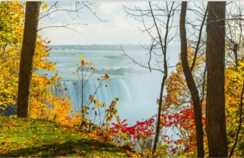 ΡΟΛΕΡ ΜΕ ΨΗΦΙΑΚΗ ΕΚΤΥΠΩΣΗ 'ΚΑΤΑΡΡΑΚΤΗΣ' E223