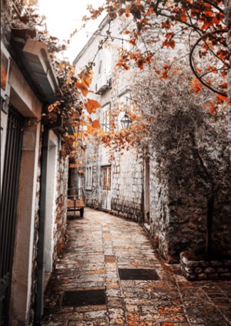 Κουρτίνες, στόρια agiovlasitishome - ΣΗΜΑΝΤΙΚΟ: Σε περίπτωση διαφοράς τιμής από το κατάστημα ισχύει παντα και μόνο η τιμή του καταστήματος ΡΟΛΕΡ ΜΕ ΨΗΦΙΑΚΗ ΕΚΤΥΠΩΣΗ 'ΣΟΚΑΚΙ' E263