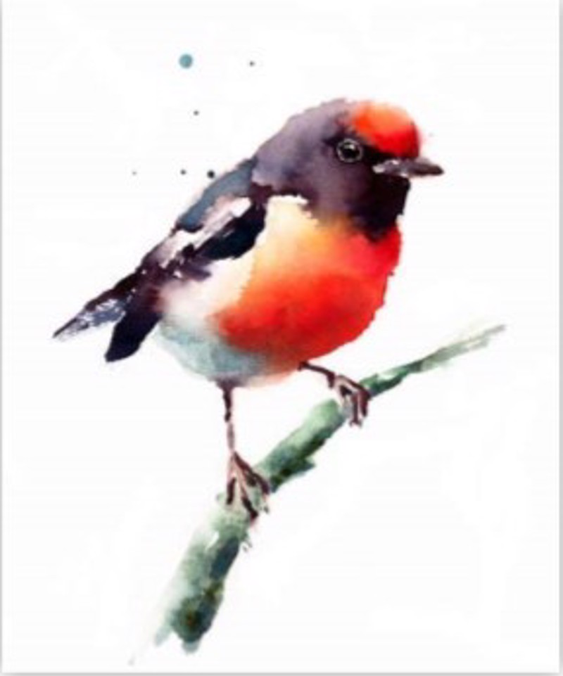 Κουρτίνες, στόρια agiovlasitishome - ΣΗΜΑΝΤΙΚΟ: Σε περίπτωση διαφοράς τιμής από το κατάστημα ισχύει παντα και μόνο η τιμή του καταστήματος ΡΟΛΕΡ ΜΕ ΨΗΦΙΑΚΗ ΕΚΤΥΠΩΣΗ 'ΠΟΥΛΑΚΙ' E266