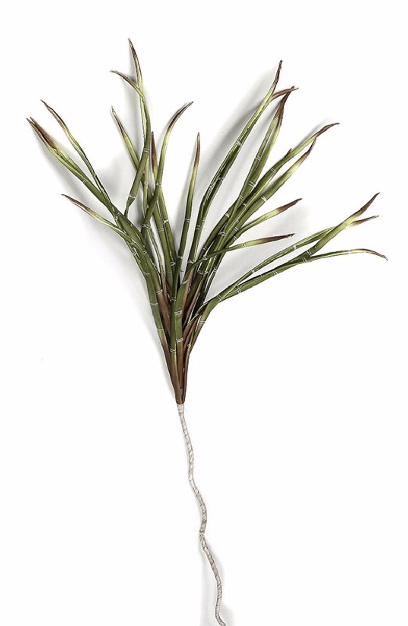 Γλάστρες - Ζαρντινιέρες agiovlasitishome - ΣΗΜΑΝΤΙΚΟ: Σε περίπτωση διαφοράς τιμής από το κατάστημα ισχύει παντα και μόνο η τιμή του καταστήματος ΛΟΥΛΟΥΔΙ ΠΡΑΣΙΝΟ LOL613K6 ESPIEL