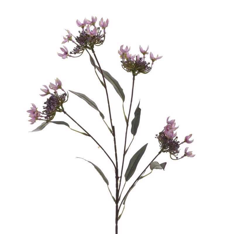 Γλάστρες - Ζαρντινιέρες agiovlasitishome - ΣΗΜΑΝΤΙΚΟ: Σε περίπτωση διαφοράς τιμής από το κατάστημα ισχύει παντα και μόνο η τιμή του καταστήματος Inart Κλαδί/Λουλούδι Μωβ Υ77 3-85-084-0137