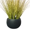 Supergreens Texnito Futo Ekouizeto ''Horsetail'' Prasino 53cm 1590-6