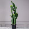Supergreens Texnito Futo Fraggosukia Morado 113cm 2780-6