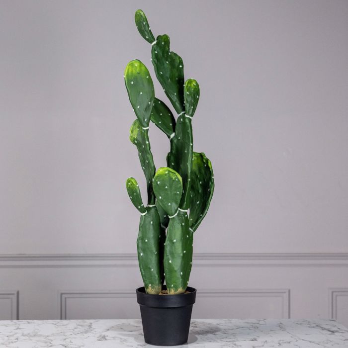 Supergreens Texnito Futo Fraggosukia Morado 113cm 2780-6