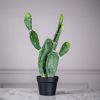 Supergreens Texnito Futo Fraggosukia Albitel 60cm 3780-6