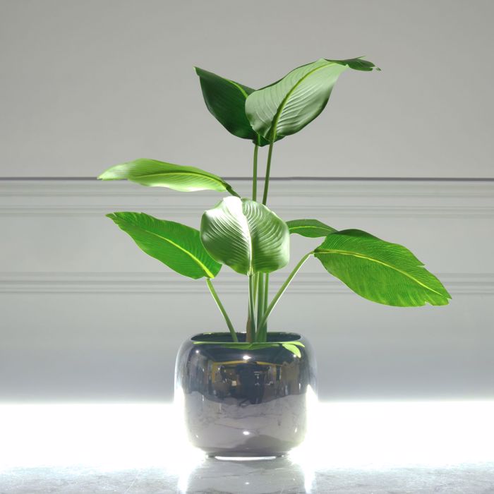 Supergreens Kaspo Keramiko Asimi F17x14cm 3940-8