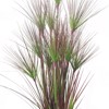 Supergreens Texnito Futo Papuros ''Nile'' Prasinos 186cm 4590-6