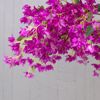 Supergreens Τεχνητό Δέντρο Βουκαμβίλια Μωβ 320cm 4650-6 Supergreens Texnito Dentro Boukambilia Mob 320cm 4650-6