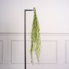 Supergreens Texniti Kremasti Ripsalida Baccifera Prasini Skouri 90cm 5551-7