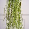 Supergreens Texniti Kremasti Ripsalida Baccifera Prasini Skouri 90cm 5551-7