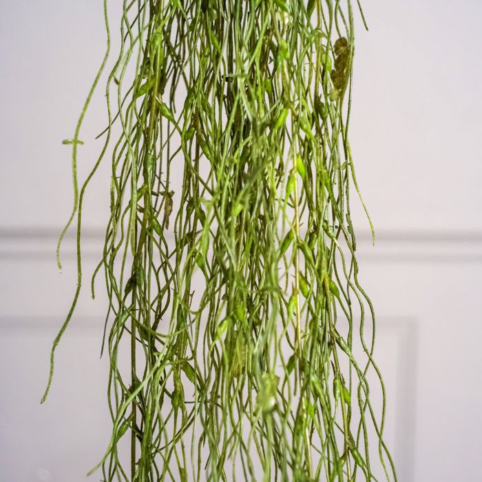Supergreens Texniti Kremasti Ripsalida Baccifera Prasini Skouri 90cm 5551-7