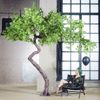 Supergreens Texnito Dentro Sfendamos 340cm 4910-6
