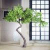 Supergreens Texnito Dentro Sfendamos 340cm 4910-6