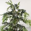 Supergreens Texnito Dentro Bampou Lucky 180cm 0430-6