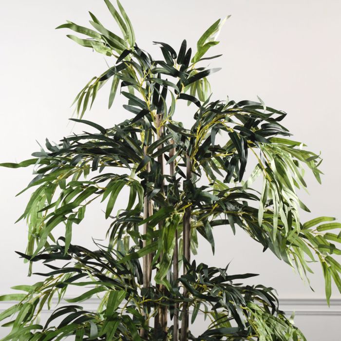 Supergreens Texnito Dentro Bampou Lucky 180cm 0430-6