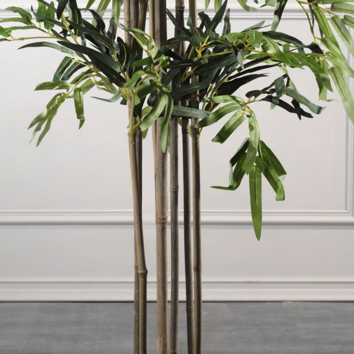 Supergreens Texnito Dentro Bampou Lucky 180cm 0430-6
