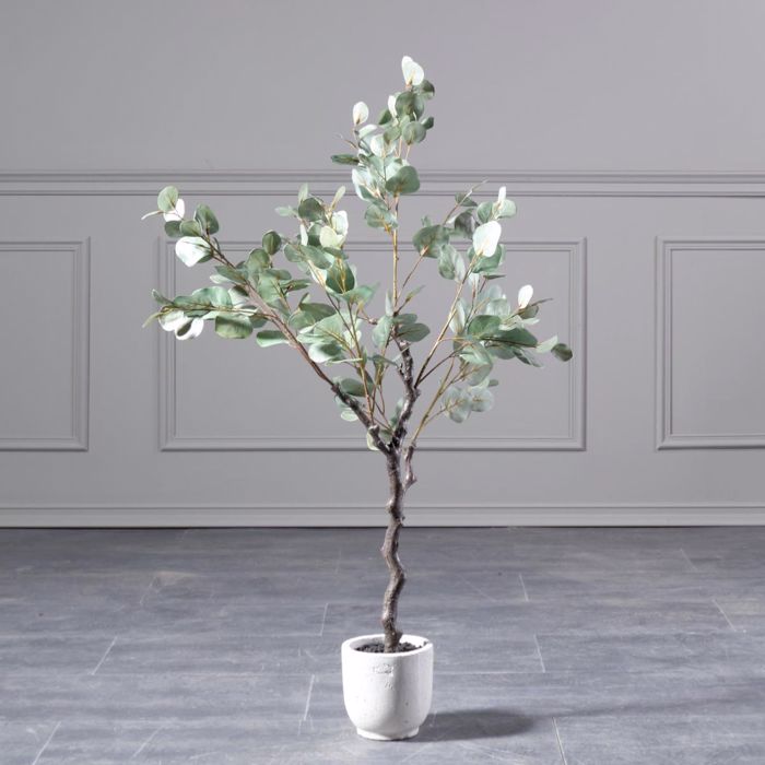 Supergreens Τεχνητό Δέντρο Παχίρα Πράσινη 123cm 5440-6 Supergreens Texnito Dentro Paxira Prasini 123cm 5440-6