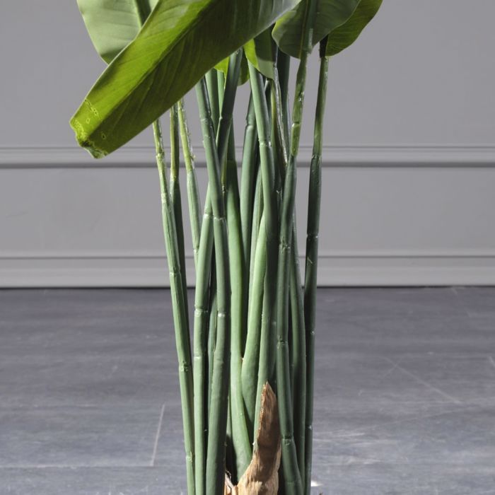 Supergreens Τεχνητό Δέντρο Πουλί του Παραδείσου Strelizia Nicolai 130cm 1350-6 Supergreens Texnito Dentro Pouli tou Paradeisou Strelizia Nicolai 130cm 1350-6
