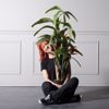 Supergreens Texnito Dentro Strelizia Reginas Kokkini 130cm 2350-6