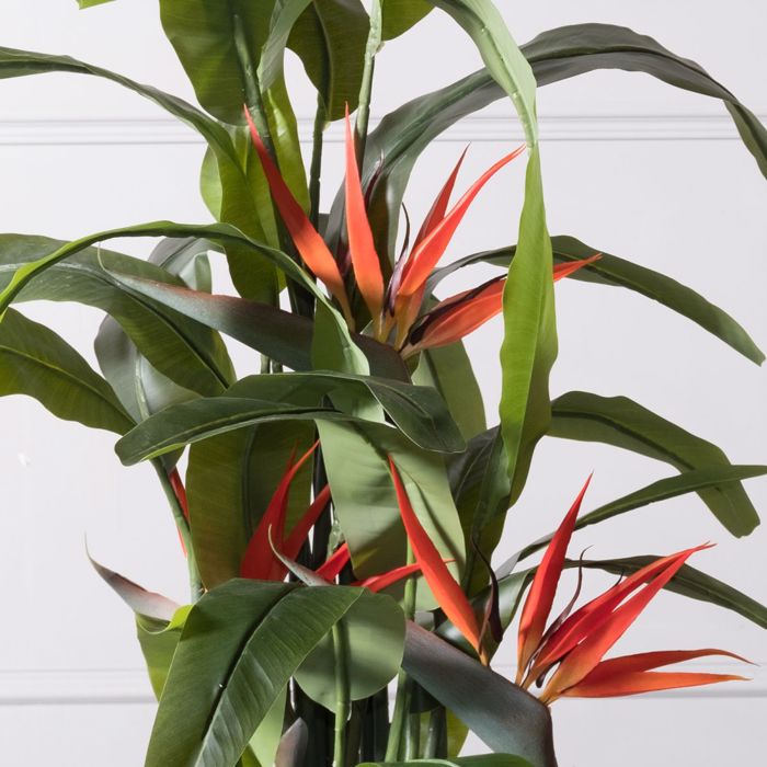 Supergreens Τεχνητό Δέντρο Strelizia Reginas Κόκκινη 130cm 2350-6 Supergreens Texnito Dentro Strelizia Reginas Kokkini 130cm 2350-6