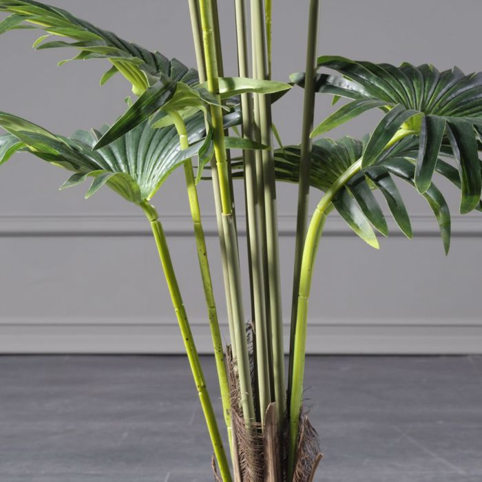 Supergreens Τεχνητό Δέντρο Πιτσάρδια 150cm 5350-6 Supergreens Texnito Dentro Pitsardia 150cm 5350-6