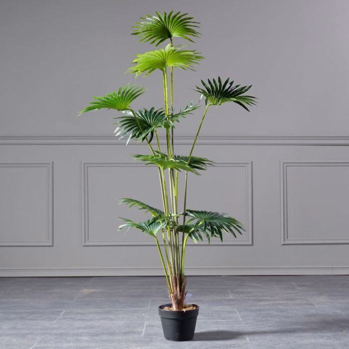 Supergreens Τεχνητό Δέντρο Πιτσάρδια 150cm 5350-6 Supergreens Texnito Dentro Pitsardia 150cm 5350-6