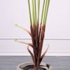 Supergreens Texnito Dentro Fteri 180cm 4450-6