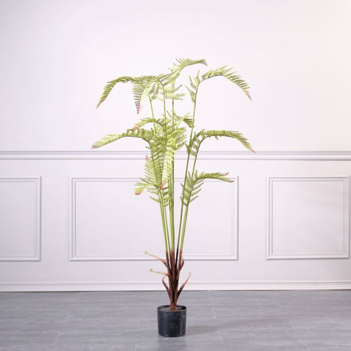 Supergreens Τεχνητό Δέντρο Φτέρη 180cm 4450-6 Supergreens Texnito Dentro Fteri 180cm 4450-6