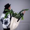 Supergreens Texnito Futo Zamia 80cm 5450-6