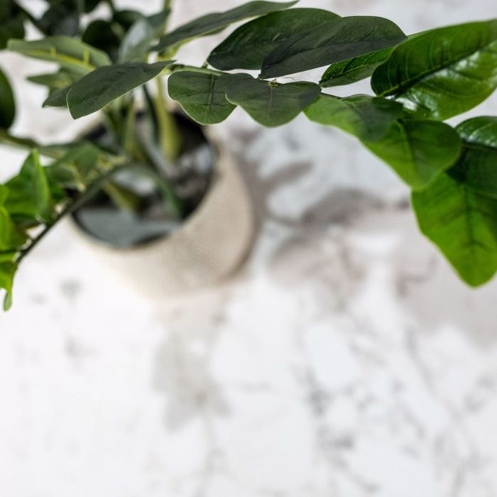 Supergreens Τεχνητό Φυτό Ζάμια 80cm 5450-6 Supergreens Texnito Futo Zamia 80cm 5450-6