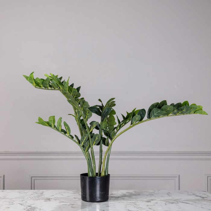 Supergreens Τεχνητό Φυτό Ζάμια 80cm 5450-6 Supergreens Texnito Futo Zamia 80cm 5450-6