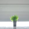 Supergreens Texnito Futo Aromatiko 17cm 9650-6