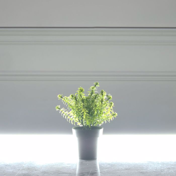 Supergreens Texnito Futo Aromatiko 18cm 0750-6