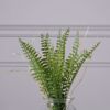 Supergreens Texnito Futo Fteri 20cm 2750-6
