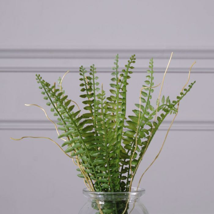 Supergreens Texnito Futo Fteri 20cm 2750-6