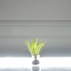 Supergreens Texnito Futo Fteri 20cm 2750-6