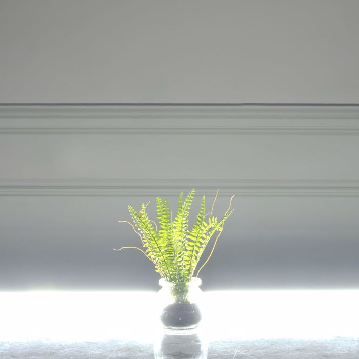 Supergreens Texnito Futo Fteri 20cm 2750-6
