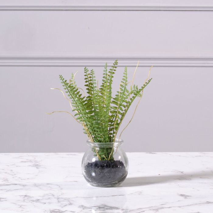 Supergreens Texnito Futo Fteri 20cm 2750-6