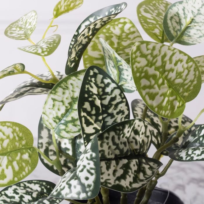 Supergreens Τεχνητό Φυτό Πόλκα 21cm 7160-6 Supergreens Texnito Futo Polka 21cm 7160-6