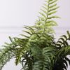 Supergreens Texnito Futo Fteri Ostrich 42cm 1360-6