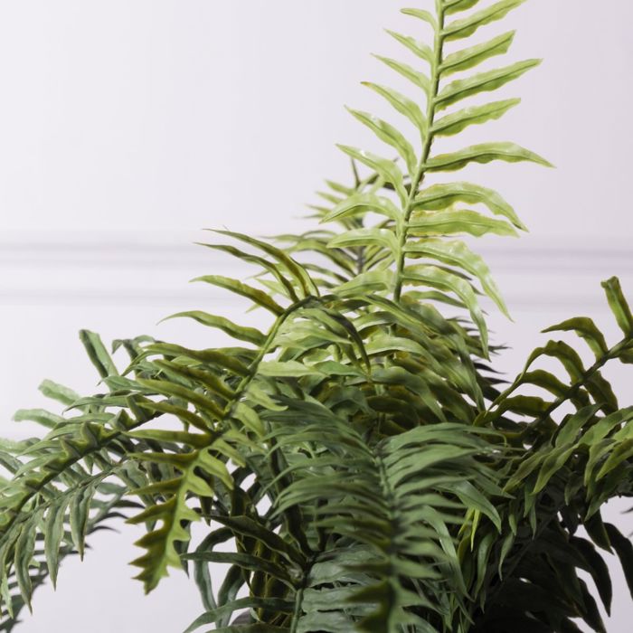 Supergreens Texnito Futo Fteri Ostrich 42cm 1360-6