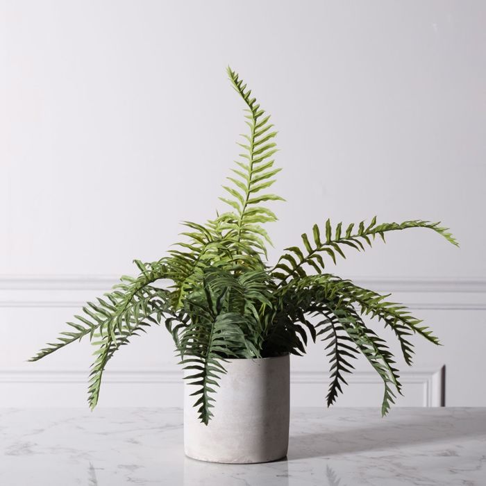 Supergreens Texnito Futo Fteri Ostrich 42cm 1360-6