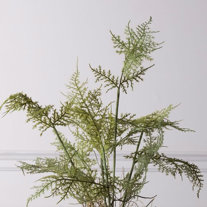 Supergreens Τεχνητό Φυτό Σπαράγγι Setaceus 50cm 2360-6 Supergreens Texnito Futo Sparangi Setaceus 50cm 2360-6