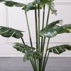 Supergreens Texnito Dentro Monstera 120cm 0660-6