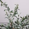 Supergreens Texnito Dentro Elia 150cm 5660-6