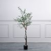 Supergreens Texnito Dentro Elia 150cm 5660-6