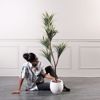 Supergreens Texnito Dentro Drakaina 160cm 1760-6